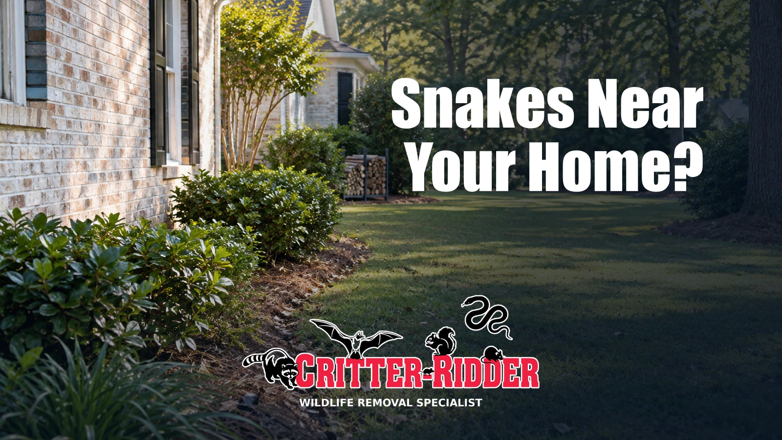 Generic editorial illustration of an intact house foundation and landscaped yard, with “Snakes Near Your Home?” and the Critter-Ridder logo.
